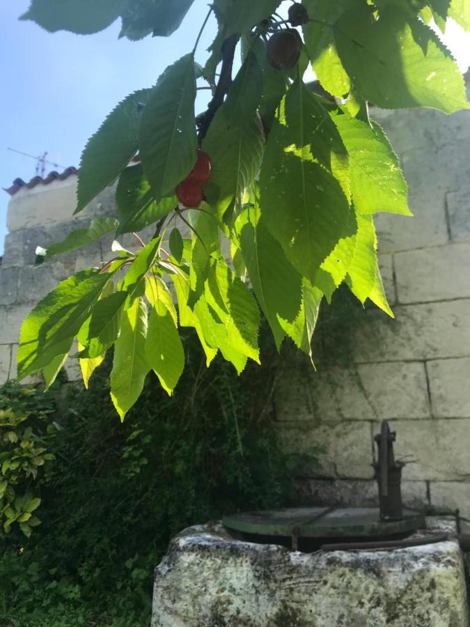 Chambres D'Hotes - Les Bujours Saint-Georges-des-Côteaux Εξωτερικό φωτογραφία